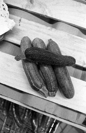 Zucchini in der Reihe "Tips der Verbraucherberatung"