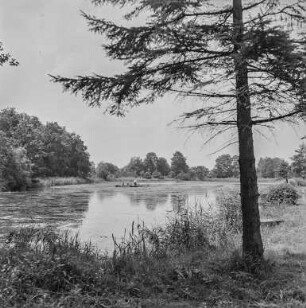 Landschaft bei Neschwitz : Neschwitz. Teich mit Fischern