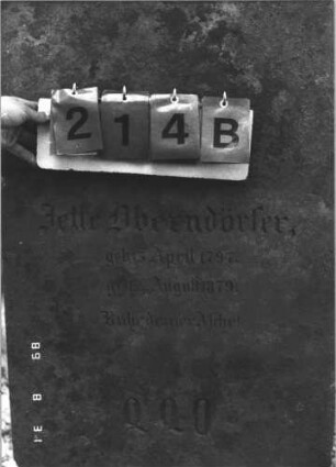 Grabstein 214 (Index: 99609850) Material: Sandstein Zustand: leicht verwittert Maße HxBxT: 192x69x30 cm Beschreibung: Stele, Giebelaufsatz mit Seitenakroteren, Mittelpalmette, Schriftfeld eingetieft mit Rundbogenabschluß, getreppter Sockel Symbolik: Rosette: Grabstein 214B