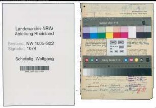 Entnazifizierung Wolfgang Schetelig , geb. 02.07.1908 (Abtl.Leiter)