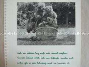 Ein Korb voll mit Teddybären, einzelne Seite eines Ringbuches (Altersgruppe bis 14)