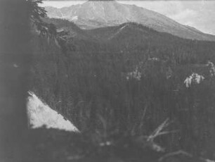 Wald : Blick auf bewaldete Berghänge