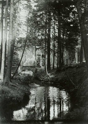 Prießnitz, Dresdner Heide, Kuhschwanzbrücke