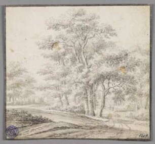 Landstraße am Gehölz