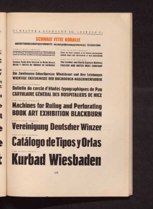 Schmale fette Koralle