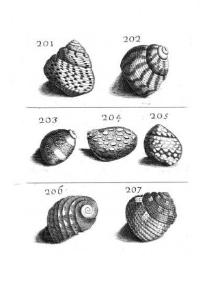 201. - 207.
