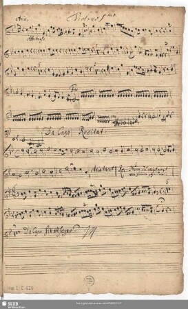 Violino Imo.