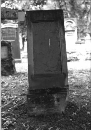 Grabstein 354