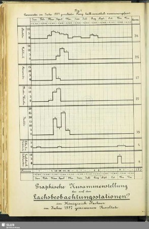 Graphische Zusammenstellung der auf den Lachsbeobachtungsstationen im Königreich Sachsen im Jahre 1887 gewonnenen Resultate