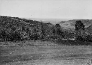 Landstufe bei Santa Maria da Serra : Landschaftsblick mit einer Landstufe bei Santa Maria da Serra. Im Vordergrund eine Straße, dahinter Grasland. Im Hintergrund Blick in ein Tal.