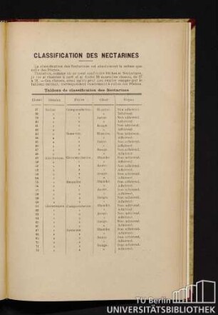 Classification Des Nectarines
