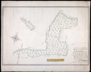 Herrschaftliche Waldungen bei Betzenweiler und Moosburg Maßstab ca. 1 : 5000 Zeichner: Johann Schreyvogel col. handgez.