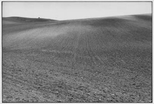 Kastilien-La Mancha. Feld