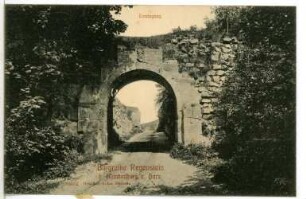 Regenstein. Burgruine - Toreingang
