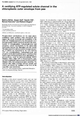 A rectifying ATP-regulated solute channel in the chloroplastic outer envelope from pea
