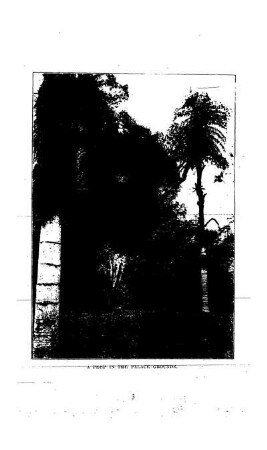 A PEEP IN THE PALACE GROUNDS