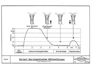 Verlauf des maschinellen Milchentzuges