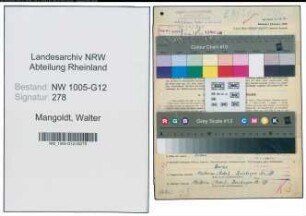 Entnazifizierung Walter Mangoldt , geb. 08.07.1903 (Prokurist)