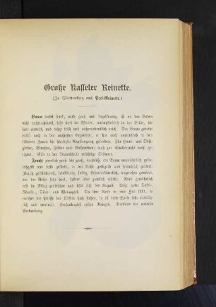 Große Kasseler Reinette. (In Wüttemberg auch Perl-Reinette.)