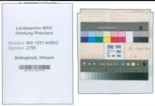 Entnazifizierung Wilhelm Bellingkrodt , geb. (Kaufmann)