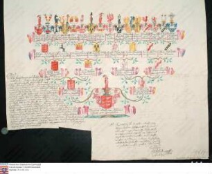 Ahnenprobe des Franz Adelbert Johann Speth v. Zwiefalten. - ausgefertigt 1778 Januar 8, Pergament