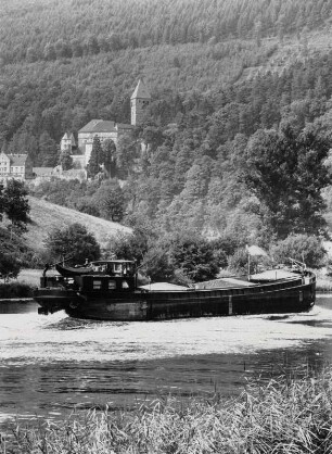 Blick über den Neckar auf Schloß Zwingenberg