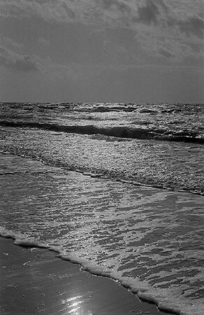 Blick auf die Ostsee vom Prerower Weststrand aus