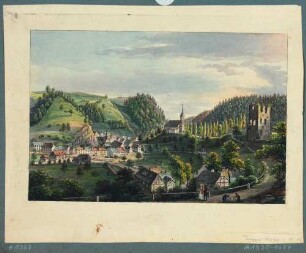 Tharandt, Blick auf die Burgruine und die Berg- und Stadtkirche nach Osten