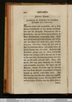 Zehntes Kapitel. Fortsetzung der Geschichte der berufenen Prinzeßin Micomicona.