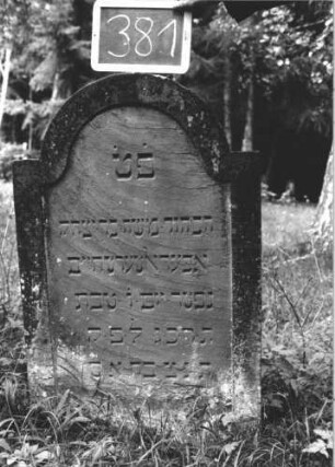 Grabstein 381 (Index: 99895807) Material: Sandstein Zustand: sehr gut Maße HxBxT: 107x65x11 cm Beschreibung: Stele mit eingezogenem Rundbogenabschluss: Grabstein 381