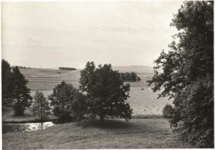 Baruth (Kreis Bautzen). Blick vom Schloss zum Schleifberg (Czorneboh)