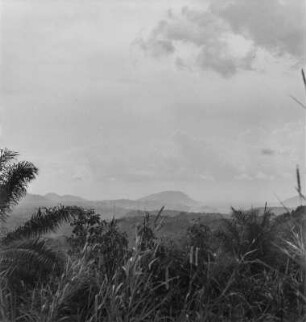 Landschaft : Blick in Richtung der Mbo-Ebene.