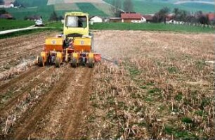 Fotografie: Säverfahren, Einzelkornsaat, Mais, Mulchsaat, Zwischenfrucht, Unterfußdüngung