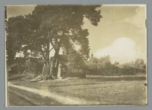 Vorm Spreewald vor Burg
