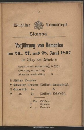 Programm der Remonten-Vorführung