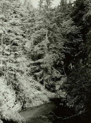 Bergbaugebiet Niederpöbel-Sadisdorf, abgesoffene Binge der Grube Hilfe Gottes