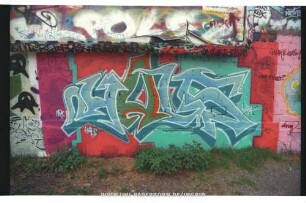 HALS