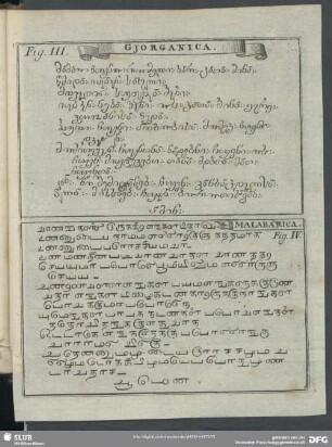 Fig. III, Fig. IV