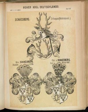 Taf. 86. Schaesberg. Stmwppn. (Reitersbach.) - Gr. v. Schaesberg. - Frh: v. Schaesberg.