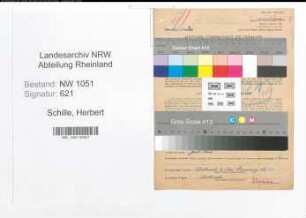 Entnazifizierung Herbert Schille , geb. 09.01.1907 (Gaertner)