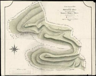 Geometrischer Plan über den im Freiaemter Bann liegenden herrschaftl. Steck- und Wieden-Wald