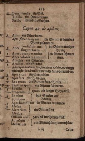 Caput 40. de apibus. - Caput 50. de ulceribus.