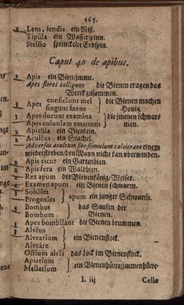 Caput 40. de apibus. - Caput 50. de ulceribus.