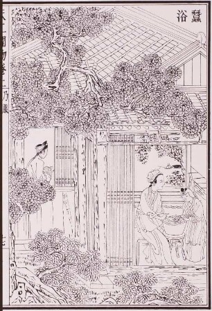 Seidenraupen baden, 1637