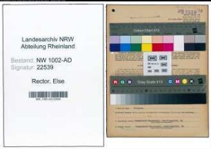 Entnazifizierung Else Rector, geb. 16.12.1898 (Spark.Angest.)