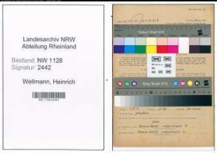 Entnazifizierung Heinrich Wellmann , geb. 27.03.1905 (Polizist)