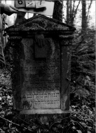 Grabstein 637 (neu: 365)