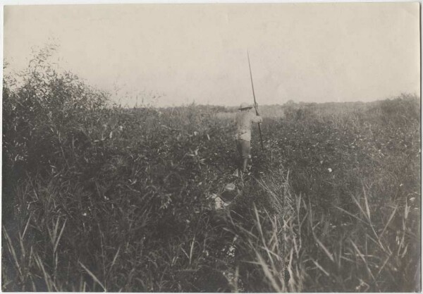 Chief Caetano as guide in the thicket of the Guato region