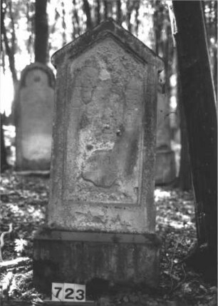Grabstein 723 (Index: 99900448) Material: Sandstein Zustand: fast völlig verwittert Maße HxBxT: 139x56x15 cm Beschreibung: aufgesockelte Stele mit Dreiecksabschluss: Grabstein 723