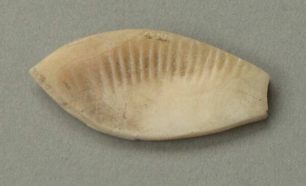 Shell ornament (?)